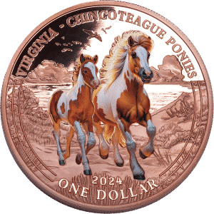 2024-Chincoteague-Ponies-Copper-Dollar