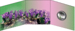 5€ Νόμισμα Έγχρωμο Campanula Saxatilis Ασήμι Ελλάδα 2021